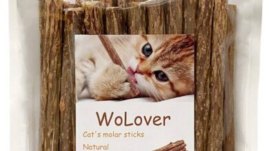 Sticks for Cats